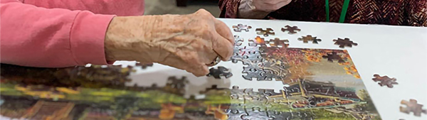 Piecing the Puzzle together